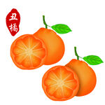 丑橘
