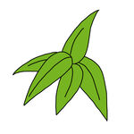 尖尖叶