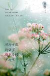 谷雨海报