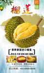 榴莲 