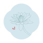 睡莲