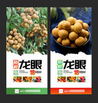 龙眼