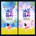 油菜花开
