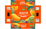 精品芒果平面展开图