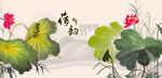 荷花