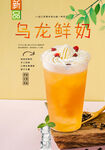 乌龙鲜奶
