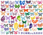 梦幻蝴蝶