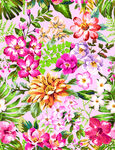 热带花