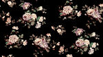 玫瑰花 牡丹花