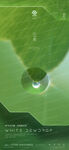 白露节气海报