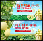 新鲜甜瓜