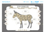 驴肉分割