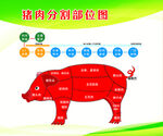 猪肉分割部位图