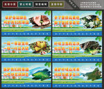 保护环境