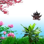 牡丹草丛