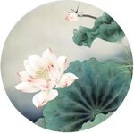 荷花水草蜻蜓圆分层