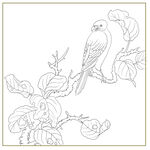 花鸟图