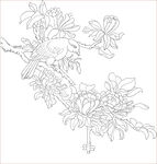 花鸟图