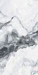 爵士白 鱼肚白高清大理石瓷砖