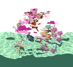 定位花
