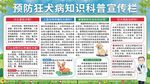 预防狂犬病知识科普宣传栏