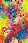 玫瑰花