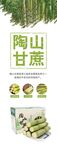 陶山甘蔗 
