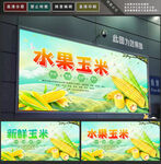 玉米