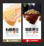 黄豆海报