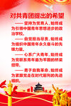 对共青团的希望