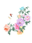 手绘花鸟