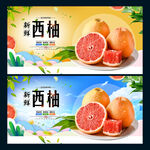 西柚