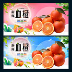 血橙