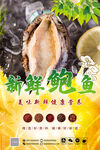 新鲜鲍鱼