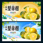 皇帝柑