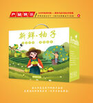 柚子包装 柚子礼盒