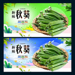 秋葵