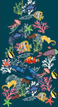 海洋生物