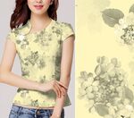 绣球花 花朵