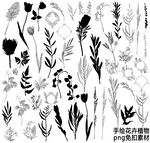 手绘花卉植物