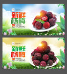 杨梅