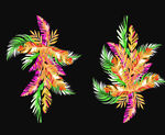 手绘花