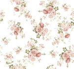 玫瑰花