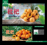 枇杷