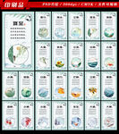 24节气歌