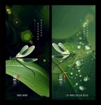 夏至节气海报