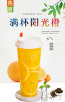 满杯阳光橙 