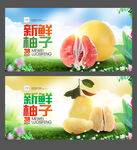 柚子