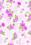 玫瑰花 大牌