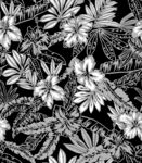 黑白叶子抽象花
